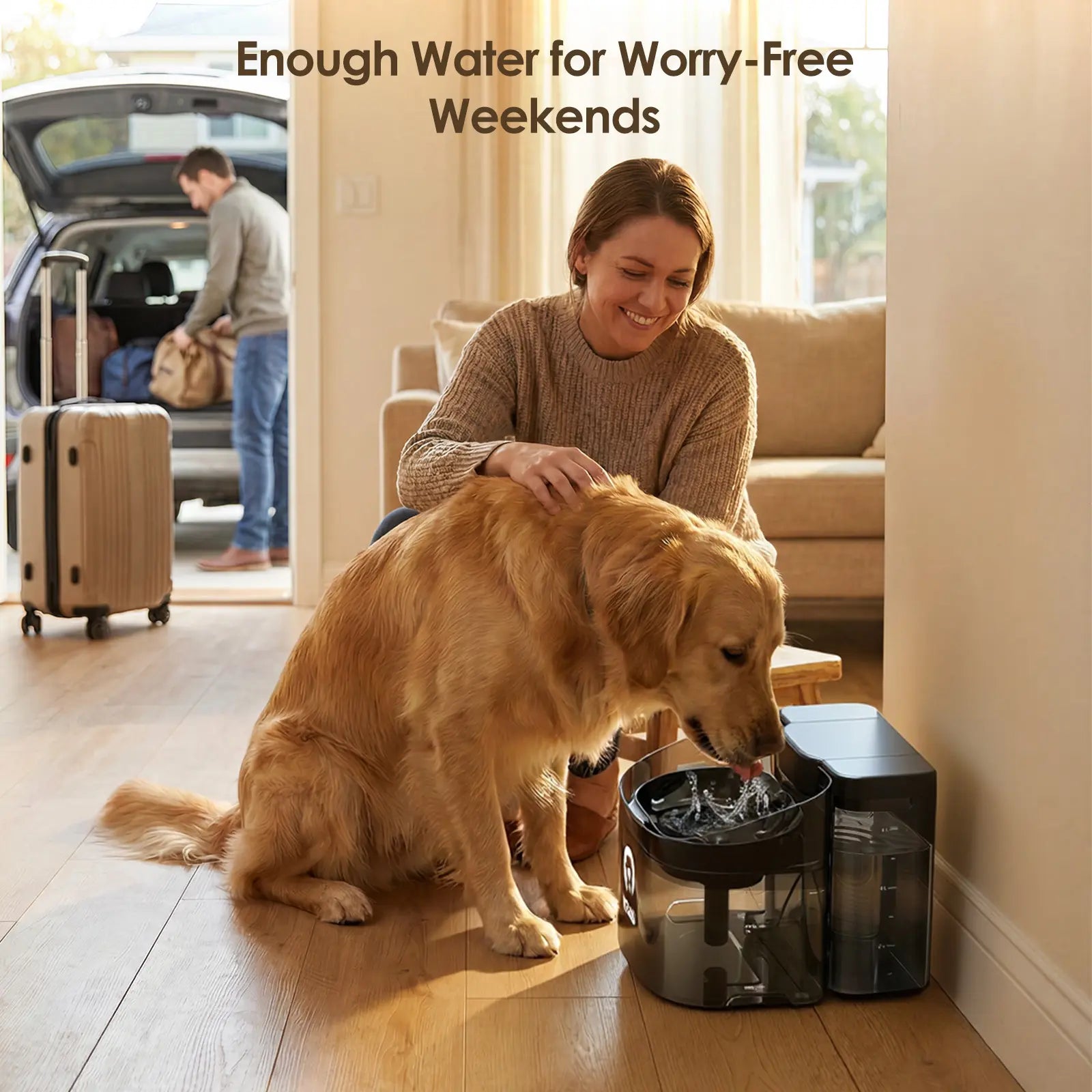 VEWO 11L No Spill Large Dog Water Fountain - Ultra Quiet, BPA Free Dispenser for Big Breeds & Multi-Pet Homes, 7 Days No Refill